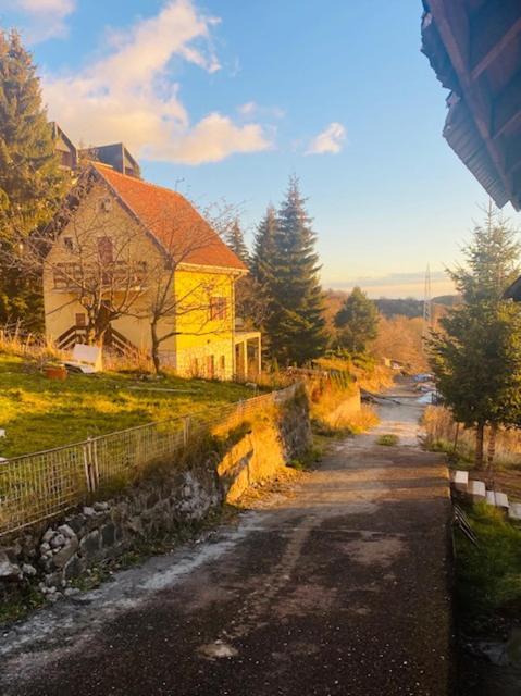 Willa Petra Kopaonik Zewnętrze zdjęcie