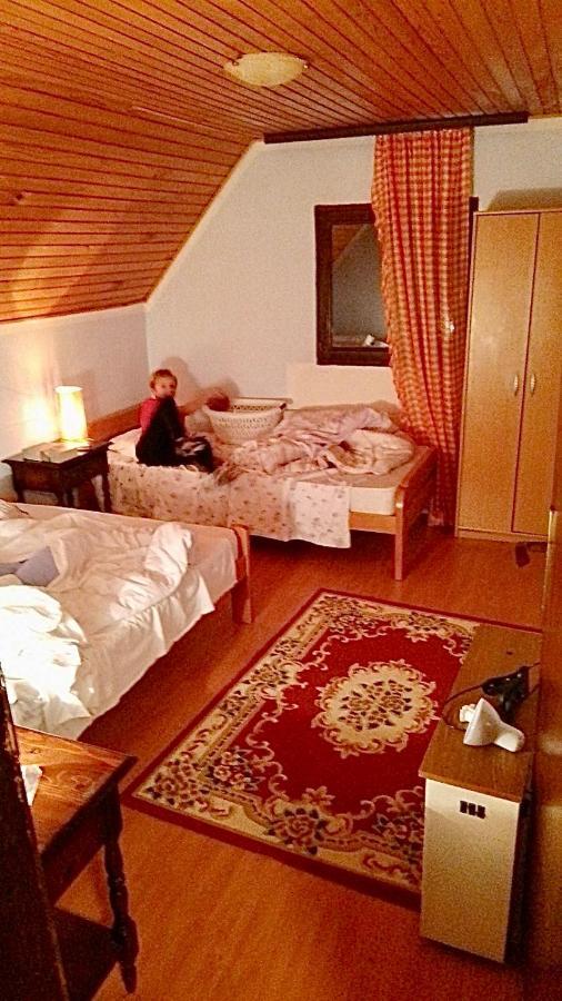 Willa Petra Kopaonik Zewnętrze zdjęcie
